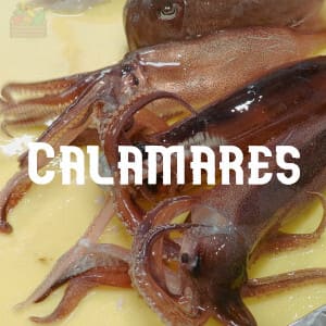Conservar Calamares