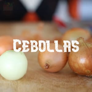 Conservar Cebollas