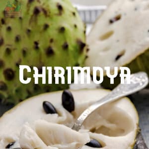 Conservar Chirimoyas