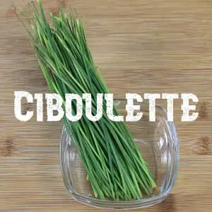 Conservar Ciboulette