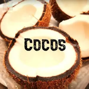 Conservar Coco