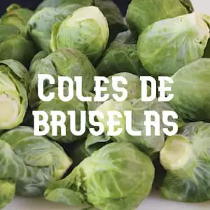 Conservar las Coles de bruselas