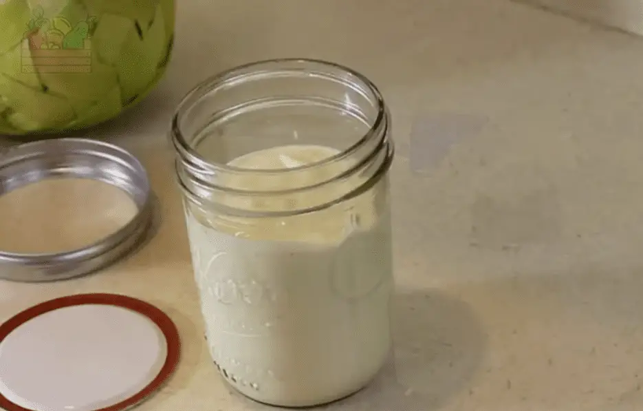 Conservar mayonesa lactofermentación