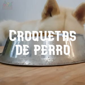 Conservar las Croquetas de perro