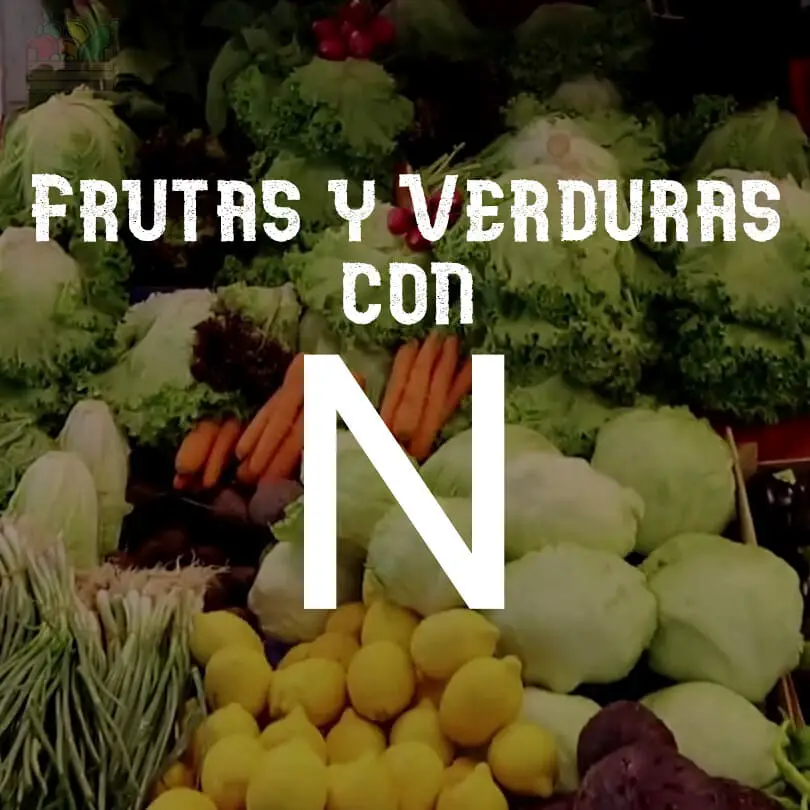 Frutas y Verduras (Vegetales) con N