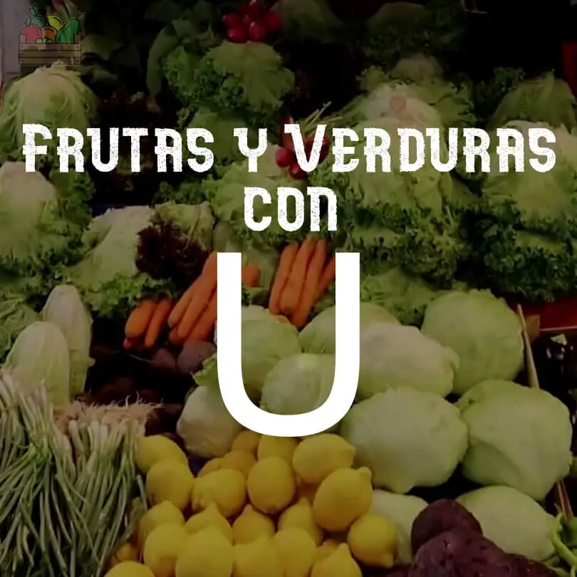 ᐅ Frutas y verduras o vegetales que empiecen con U