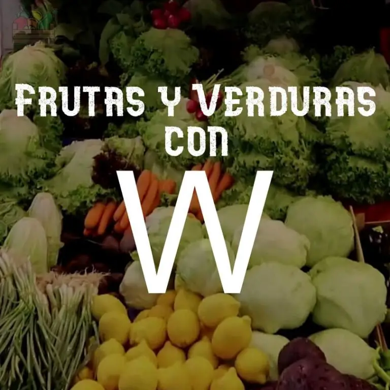 ᐅ Frutas y Verduras o vegetales que empiecen con W