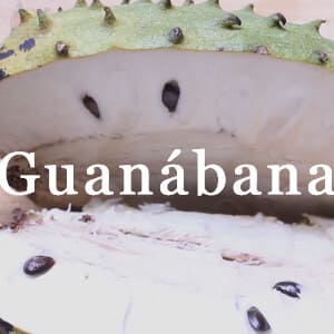 Conservar Guanábana