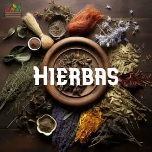 Conservar Hierbas