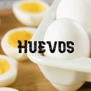 Conservar Huevos