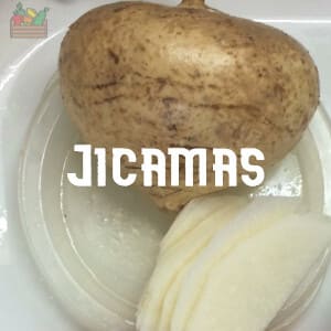 Conservar Jicamas