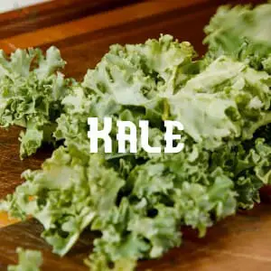 Conservar Kale