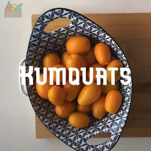 Almacenar Kumquats