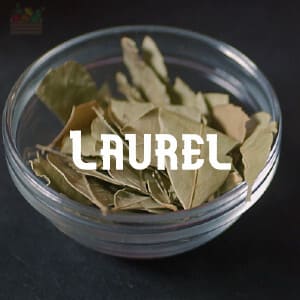 Preservar Laurel