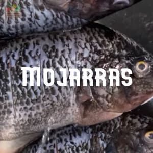 Preservar Mojarras