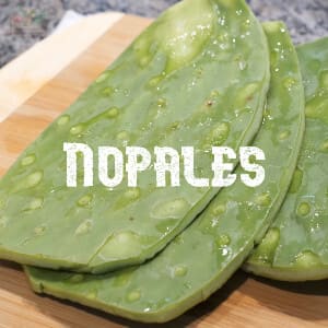 Conservar Nopales