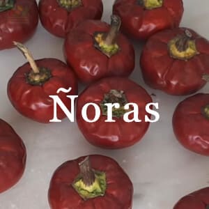 Conservar Ñoras
