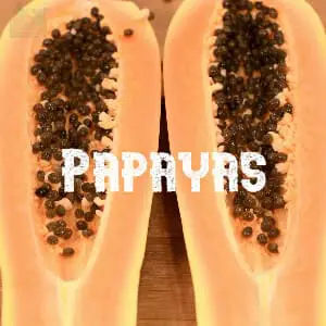 Preservar Papayas