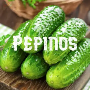 Conservar Pepinos