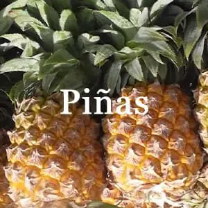 Conservar Piña