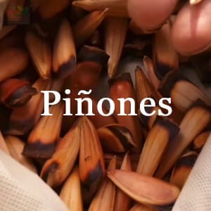 Conservar Piñones