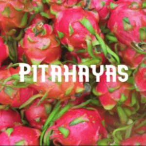 Conservar Pitahayas