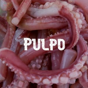 Conservar Pulpo