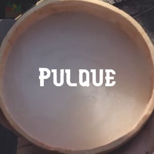 Conservar Pulque