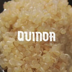 Conservar Quinoa