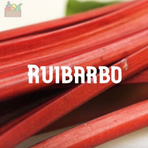 Conservar el Ruibarbo