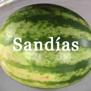 Conservar Sandías
