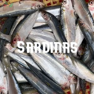 Conservar Sardinas