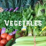 Conservar Vegetales