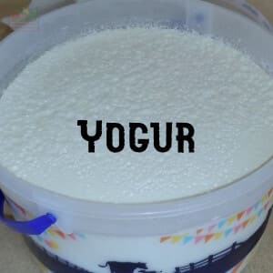 Almacenar Yogur