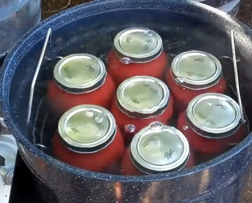 conservar salsa de tomate en canner