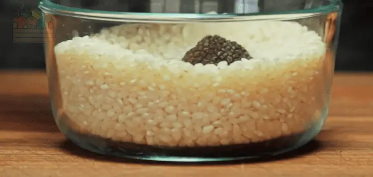 conservar trufas en arroz